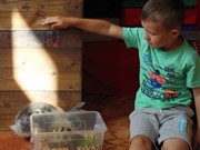 Zvířátkový den ve školce